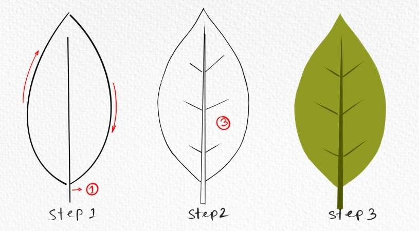 How To Draw Leaves Easy Step By Step Tutorial Choose Marker How To Draw Leaves Easy Step By Step Tutorial Choose Marker