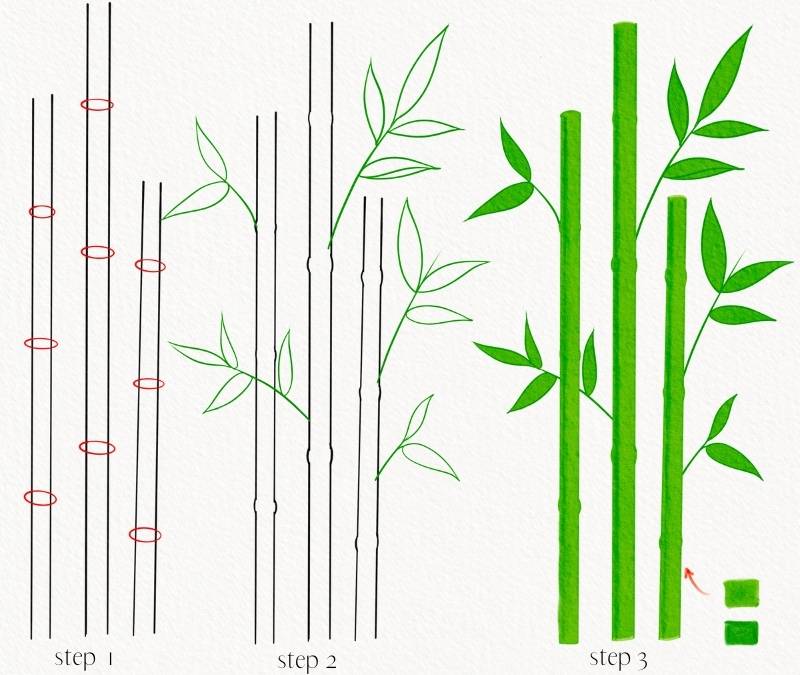 how to draw bamboo step by step