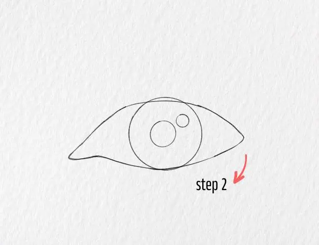 Draw the Iris