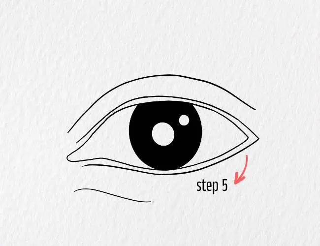 Make the Pupil Visible