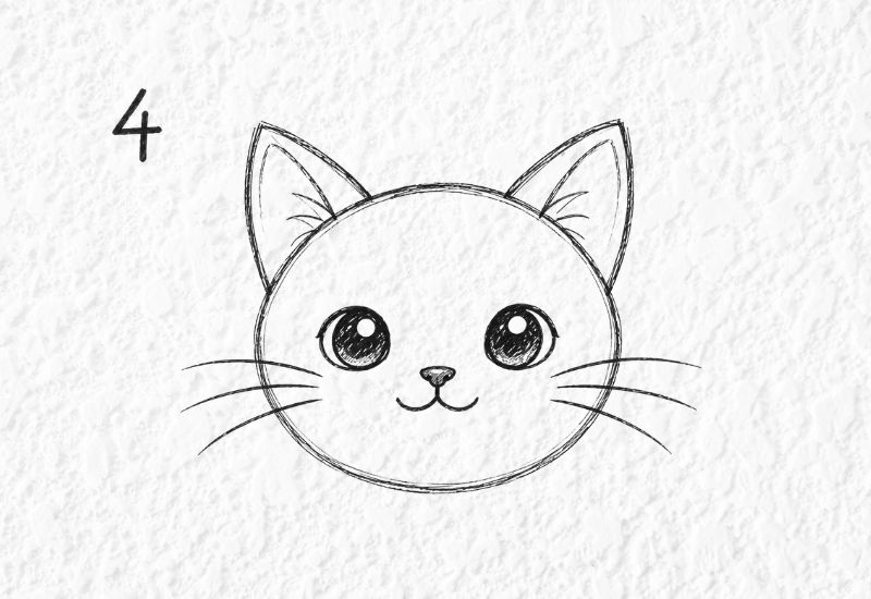 Add Whiskers and Details