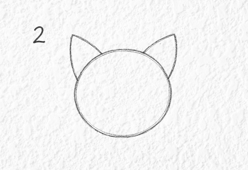 Add the Ears