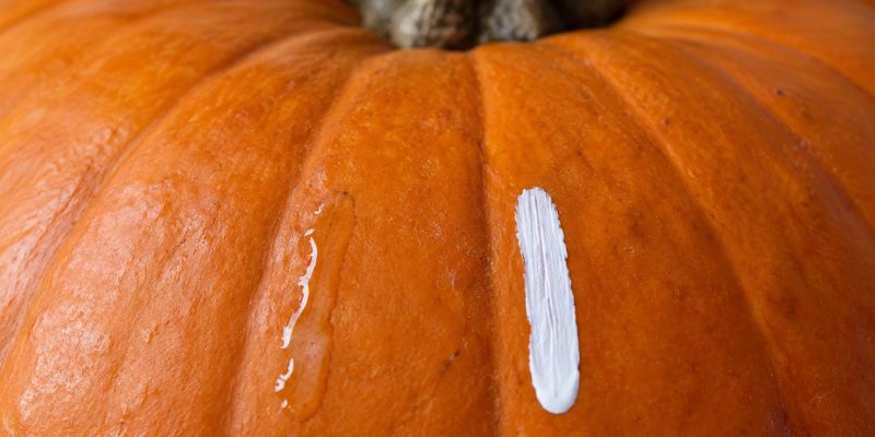 dye ink beading on a pumpkin vs opaque pigment paint marker
