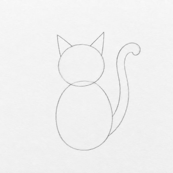 Ears and tail