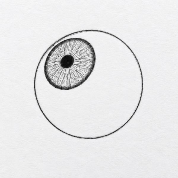 Pupil and limbal ring